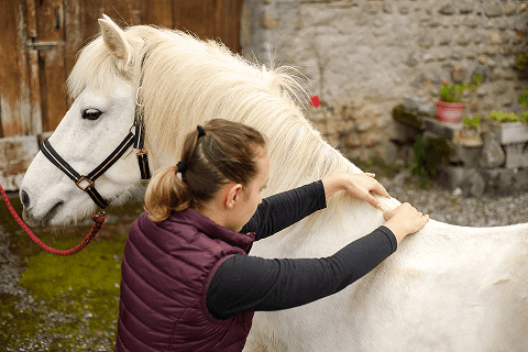 image definition-osteopathie